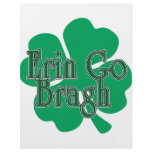 Erin Go Bragh v2 flyers