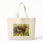 Eriphia verrucosa bags