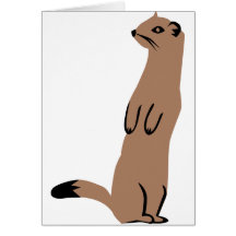 Ermine - Stoat - Weasel Cards
