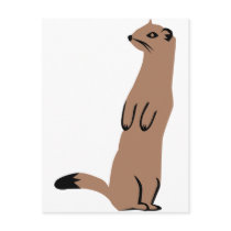 Ermine - Stoat - Weasel Post Card