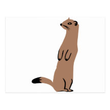 Ermine - Stoat - Weasel Postcards