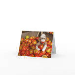 Ernie the Sock Monkey Apples Note Card