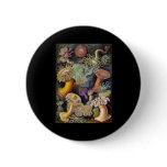 Ernst Haeckel Actiniae Pinback Buttons