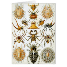 Ernst Haeckel - Arachnida Greeting Cards