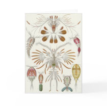 Ernst Haeckel Art Card: Copepoda