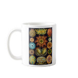 Ernst Haeckel - Ascidiae Mug