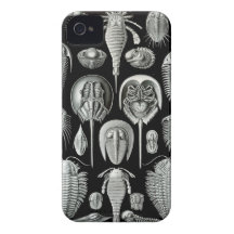 Ernst Haeckel - Aspidonia iPhone 4 Cases