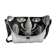 Ernst Haeckel - Aspidonia Messenger Bag