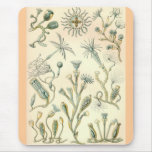 Ernst Haeckel - Campanariae Mouse Mats