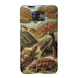 Ernst Haeckel - Chelonia Samsung Galaxy S Case