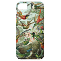 Ernst Haeckel Hummingbirds iPhone 5 Cases