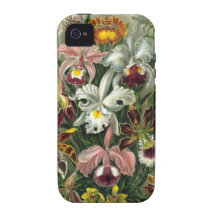 Ernst Haeckel - Orchidae iPhone 4 Cases
