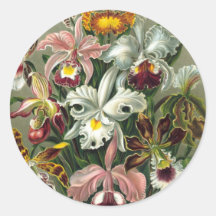 Ernst Haeckel - Orchidae Round Stickers