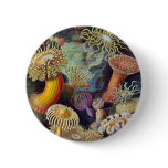 Ernst Haeckel's Actiniae Button