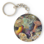 Ernst Haeckel's Actiniae Keychain