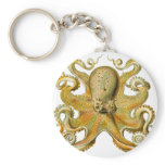 Ernst Haeckel's Octopus keychains