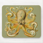 Ernst Haeckel's Octopus Mousepads