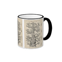 Ernst Haeckel's "tree of life" Coffee Mugs