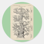 Ernst Haeckel's "tree of life" Round Sticker