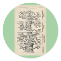 Ernst Haeckel's "tree of life" Round Sticker