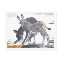 Esel No. 01 * Esel-Postkarten * Donkey-Postcards