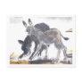 Esel No. 01 * Esel-Postkarten * Donkey-Postcards