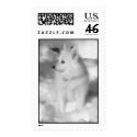 Eskie in the snow postage