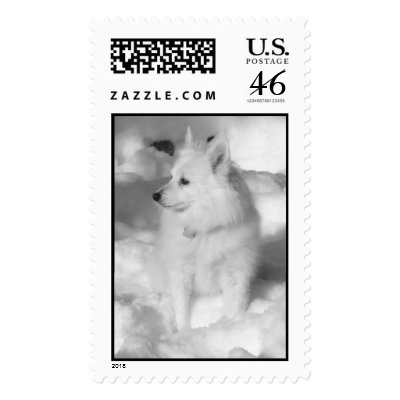 Eskie in the snow postage stamp by cmaupin3