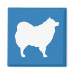 Eskie on Blue Magnet