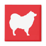 Eskie on Red Magnet