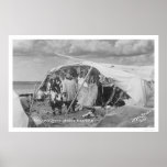 Eskimo Camp Nome, Alaska Photo 1916 posters