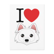 Eskimo Dog Postcard