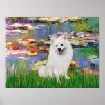 Eskimo Spitz 1 - Lilies 2 Posters
