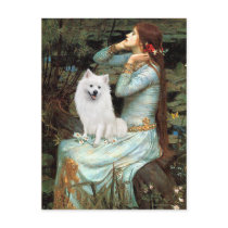 Eskimo Spitz 1 - Ophelia Seated Post Cards