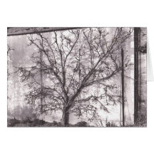 Espalier Greeting Card