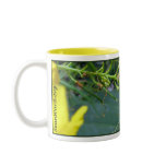 Esperanza Bee Mug