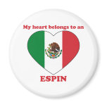 Espin magnets