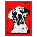 Esra Harlekin Great Dane flyers