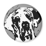 Esra Harlekin Great Dane magnets