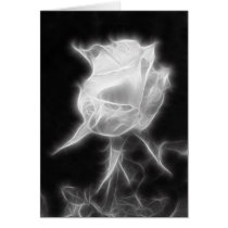 Essence of a Rose 2