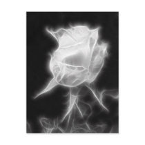 Essence of a Rose 2
