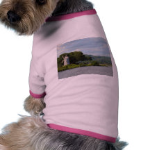 Essex CT Windmill Pet Tee Shirt