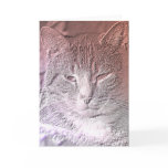 Etched Kitten Greeting Card