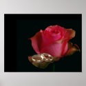 Eternal Love posters