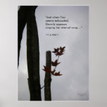 Eternal Song of Life: Nature Zen/Tao Poster posters