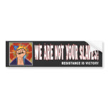 "Eternal Vigilance" Bumper Sticker #2