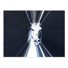 ether horse/skull post cards