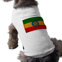 Ethiopia Flag