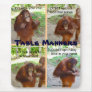 Etiquette and Manners for Wildlife or People