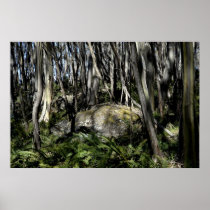 Eucalyptus forest print